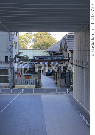 曾根崎神樹的背景，大初天神露佑天神社 133185239