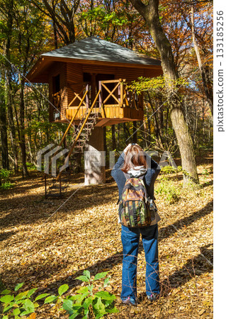 Autumn in Akagi Nature Park: A woman photographing a treehouse Autumn in Akagi Nature Park: A woman photographing a treehouse 133185256