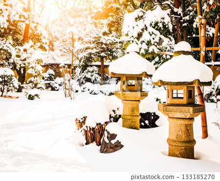 夜晚的冬日花園，被一排排雪燈照亮。 133185270