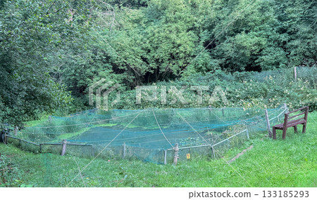 Trout farm, fish breeding site Trout farm, fish breeding site 133185293