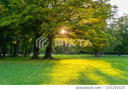 Englischer Garten Public Park. Munich, Bavaria, Germany Englischer Garten Public Park. Munich, Bavaria, Germany 133185325