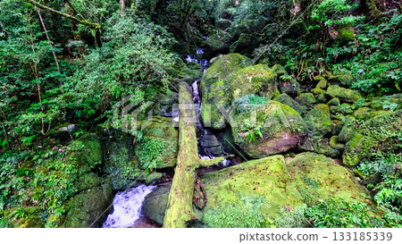 Moss and a small stream 133185339