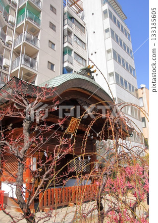 大阪天滿宮,大阪著名的梅花觀賞地 大阪天滿宮,大阪著名的梅花觀賞地 133185605