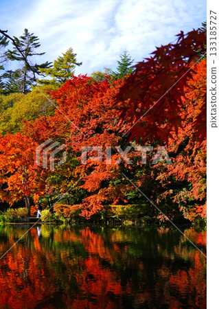 Autumn leaves of the cloud pool pond 133185727