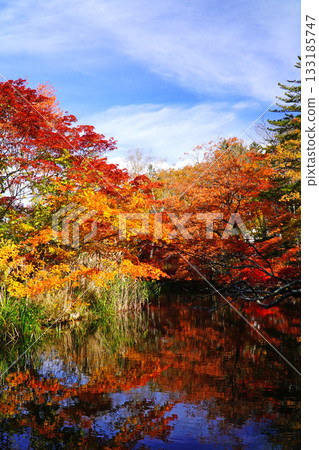 Autumn leaves of the cloud pool pond 133185747