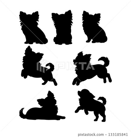 Various silhouettes of playful chihuahuas captured in different poses and actions on a plain background 133185841