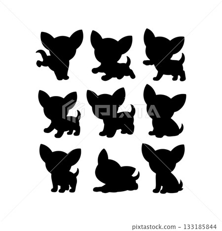 Collection of playful chihuahua silhouettes in various poses on a white background Collection of playful chihuahua silhouettes in various poses on a white background 133185844