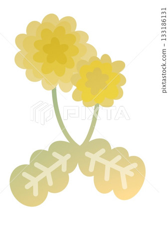 簡單的蒲公英 133186131