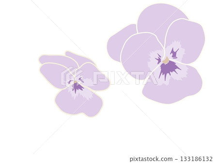 簡單的紫羅蘭花插圖素材 133186132