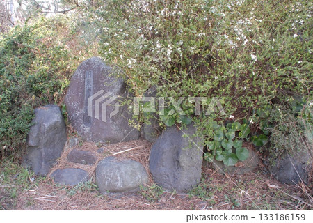 Stone monument marking the "Numazu Shinden Milestone" (Fuji City, Shizuoka Prefecture) Stone monument marking the "Numazu Shinden Milestone" (Fuji City, Shizuoka Prefecture) 133186159