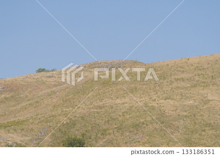 Akiyoshidai with dead grass in the spring of 2025 133186351