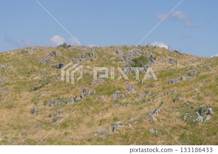 Akiyoshidai with dead grass in the spring of 2025 133186433