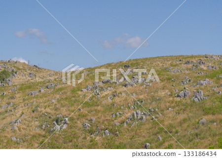 Akiyoshidai with dead grass in the spring of 2025 133186434