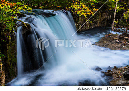 Autumn leaves at Oirase Gorge (Choshi Otaki Falls) [Towada City, Aomori Prefecture] 133186579