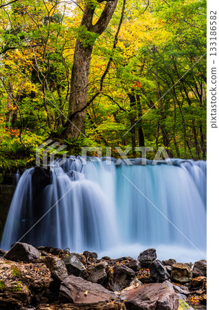 Autumn leaves at Oirase Gorge (Choshi Otaki Falls) [Towada City, Aomori Prefecture] 133186582