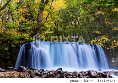 奧入瀨峽谷（銚子大瀧瀑布）的秋葉 [青森縣十和田市] 133186583