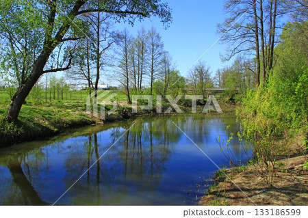 Landscape with river in spring. Trees are reflected in water of river Landscape with river in spring. Trees are reflected in water of river 133186599