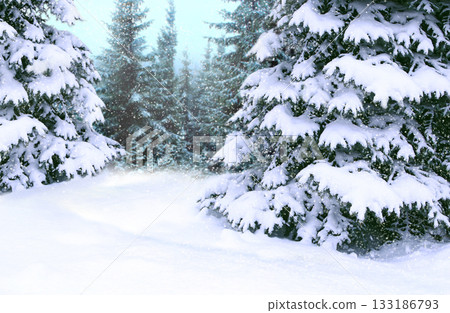 Spruces covered with snow. Beautiful winter forest. Happy Christmas eve Spruces covered with snow. Beautiful winter forest. Happy Christmas eve 133186793