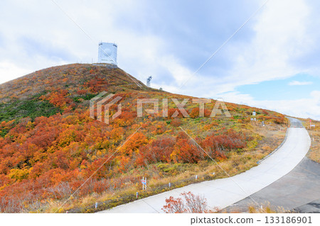 Autumn at Mt. Kamagase, Mutsu City, Aomori Prefecture 133186901