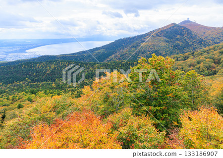 從青森縣陸奧鐮瀨山眺望的秋景 133186907