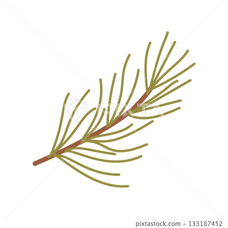 Flat kraft pine branch decor in green forms the holiday focus. Christmas nature element and xmas plant symbol, seasonal graphic for winter box and gift inspired themes. Flat kraft pine branch decor in green forms the holiday focus. Christmas nature element and xmas plant symbol, seasonal graphic for winter box and gift inspired themes. 133187452