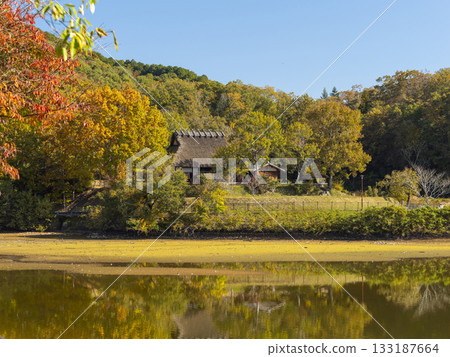 Autumn scenery: An old thatched roof house standing by the water Autumn scenery: An old thatched roof house standing by the water 133187664