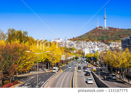 首爾的秋天：南山塔和綠莎坪大路 *部分柔焦 133187775