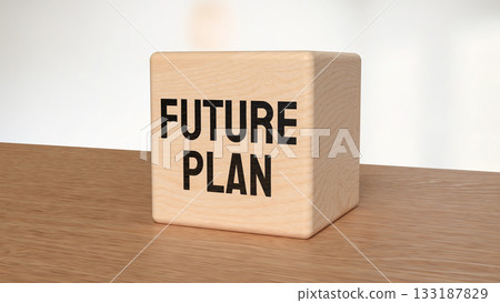 Future Plan Text on Wooden Block with Blurred Background 3d render. 133187829