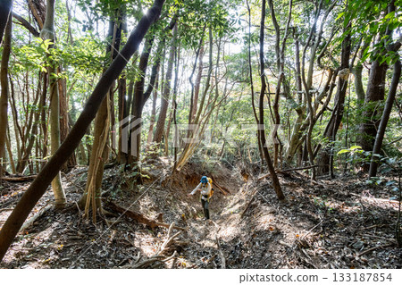 Mountain climbing in autumn 133187854
