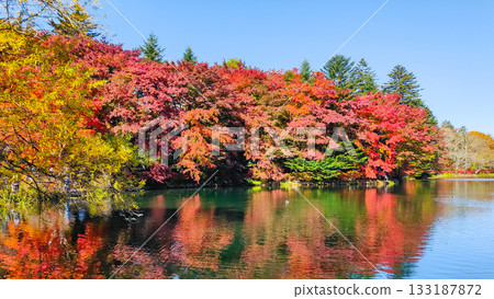 熊場池（秋季） 133187872