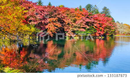 Kumoba Pond (Autumn) 133187873