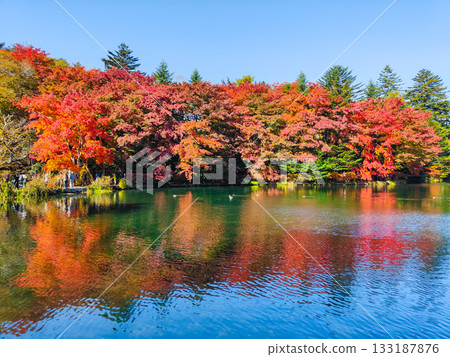 Kumoba Pond (Autumn) 133187876