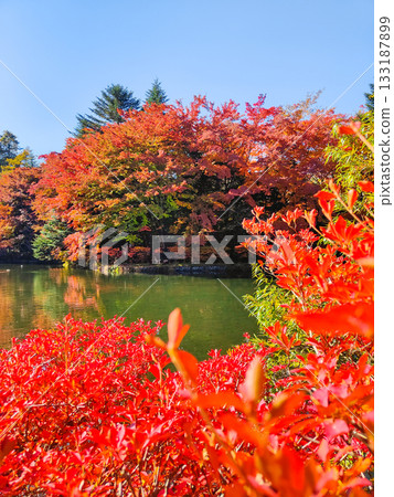 熊場池(秋季) 熊場池(秋季) 133187899