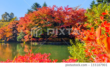 Kumoba Pond (Autumn) Kumoba Pond (Autumn) 133187901