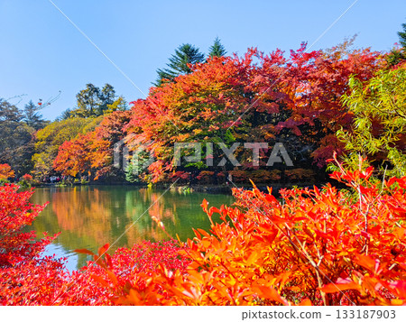 熊場池（秋季） 133187903