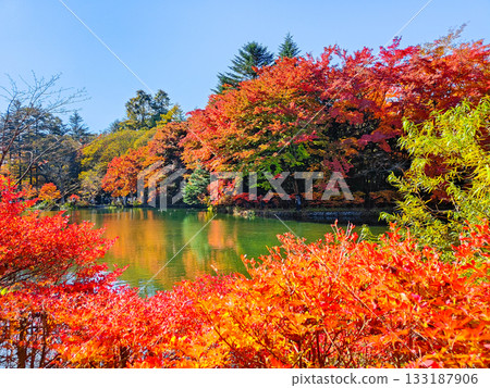 Kumoba Pond (Autumn) 133187906