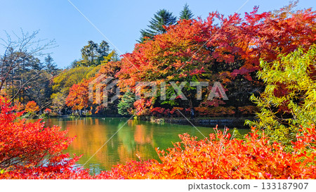 Kumoba Pond (Autumn) 133187907