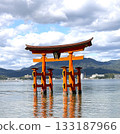 嚴島神社鳥居 133187966