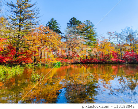 Kumoba Pond (Autumn) 133188042