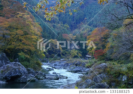 燃燒的秋天 燃燒的秋天 133188325