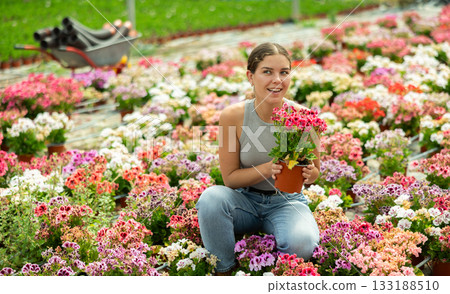 Woman choosing pink geraniums in a garden store 133188510
