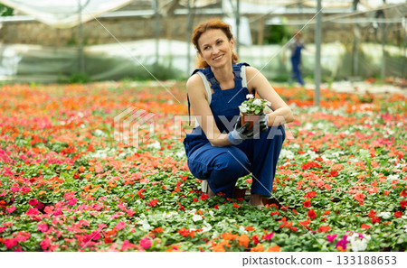 Woman Greenhouse Worker with Flowers 133188653