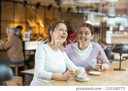 Two cheerful female friends enjoying their coffee in cozy cafe Two cheerful female friends enjoying their coffee in cozy cafe 133188773
