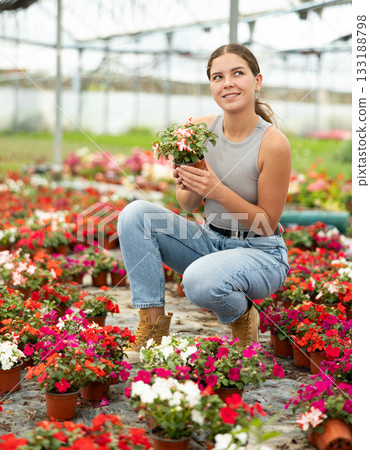 Young woman choosing flowers in greenhouse 133188798