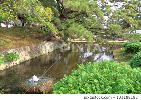 Scenery of Kijo Park 133189188