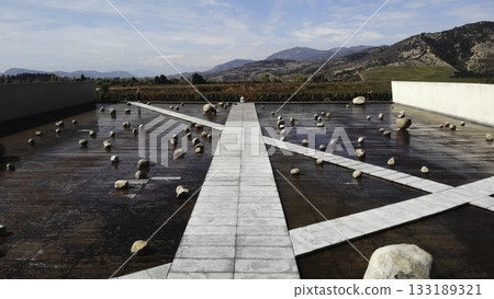 Aerial view of modern water feature and autumn vineyard 133189321