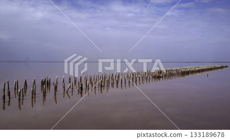 Wooden posts reflecting in pink salt lake. Media 133189678