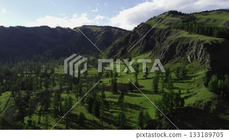 Lush valley panorama unfolding beneath majestic cliffs. Media Lush valley panorama unfolding beneath majestic cliffs. Media 133189705