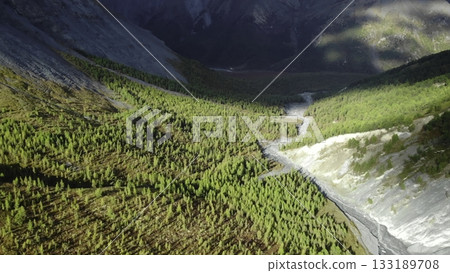 Majestic valley and river winding through lush green pine forest. Media 133189708