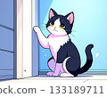 貓咪觸摸牆壁的插圖 133189711